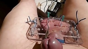 OMG electro live 1 H needles balls and ejac