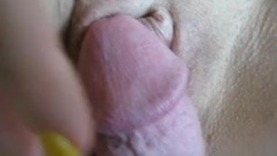 drippy rubs cock on quirtys pussy